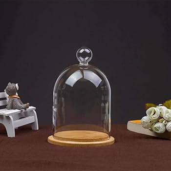 クリアガラス ベル型　ドーム　クロッシュ 71z9oedlNkL._UF1000,1000_QL80_.jpg